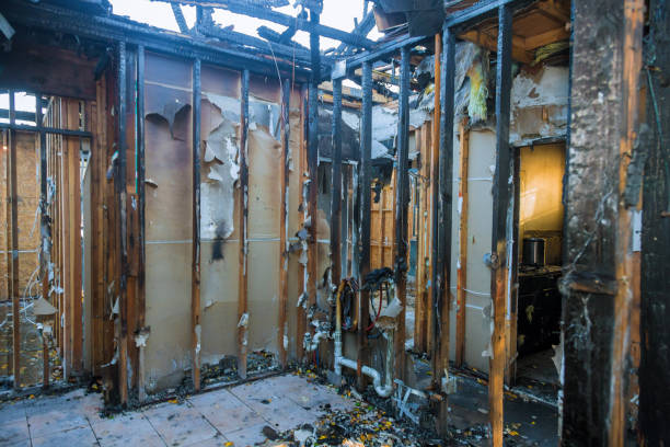 Professional Smoke Damage Removal technician working in Circle Pines, MN