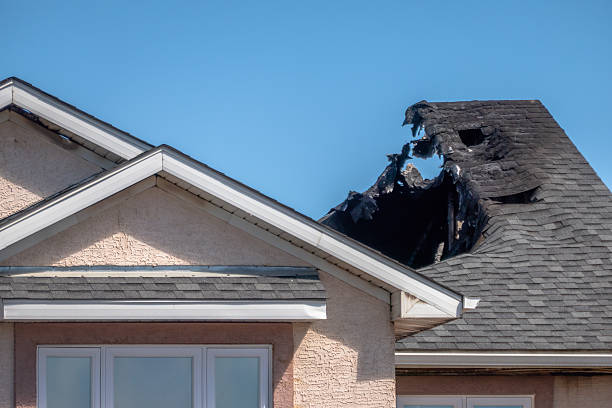 Top rated local Smoke Damage Removal specialists in Circle Pines, MN